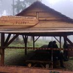 Stanica mysliwska na Trzech Lipach-obwód 344