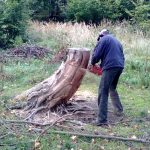 wykorzystanie suchego pnia na lizawkę w łowisku Lizawki
