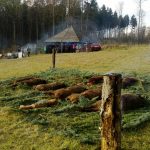 WP_20161105_017[1]