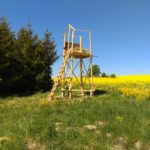 IMG_20180507_114047